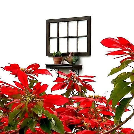 Solar Outeiro Alto Guest house *